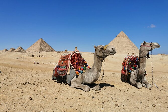 Private Tour to Giza Pyramids, Sphinx with Camel Ride and Lunch - A 20-minute camel ride around the pyramids