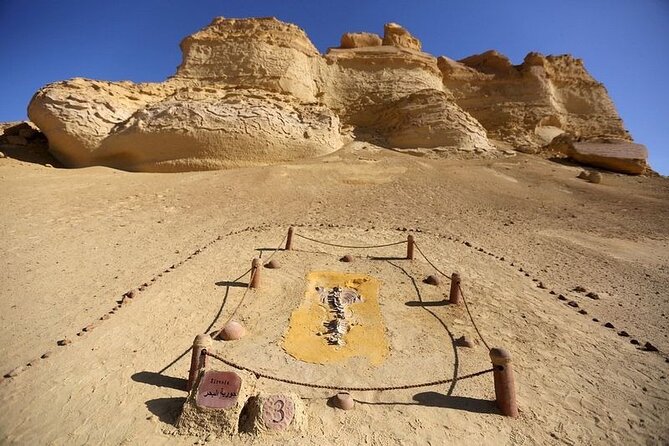 Private Tour to Whales Valley & Wadi El Rayan Waterfalls in El Fayoum from Cairo - Tunis Village gives the route a human touch