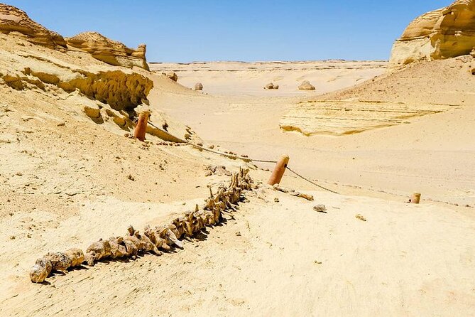 Private Tour to Whales Valley & Wadi El Rayan Waterfalls in El Fayoum from Cairo - Lunch and the desert activities
