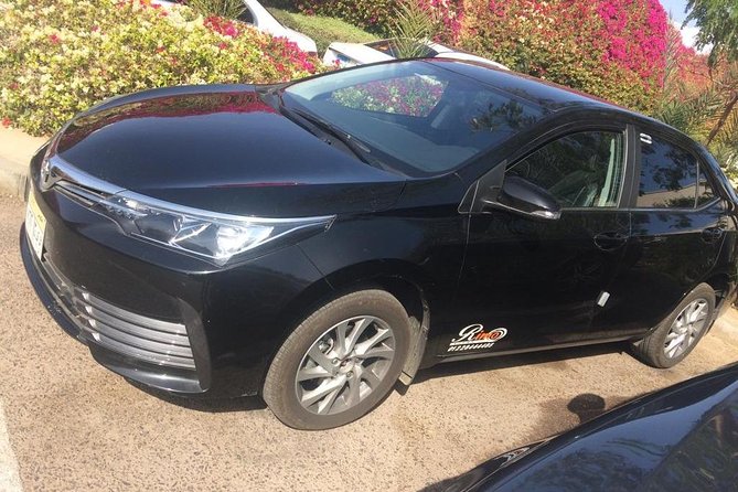 Private Transfer from Cairo Airport - Who should book this Cairo transfer