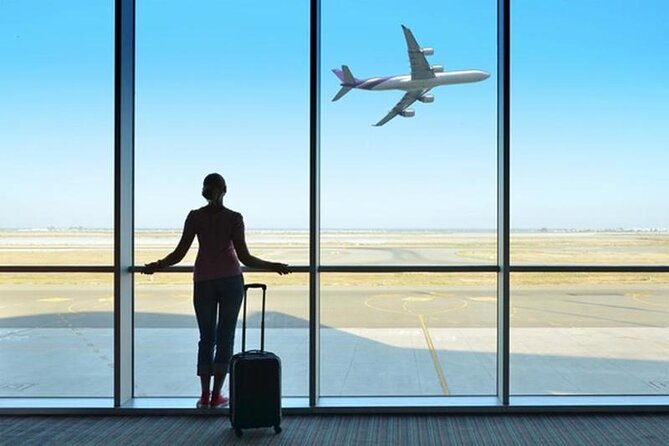 Private Transfer From/To Luxor International Airport - Safety, privacy, and flexibility