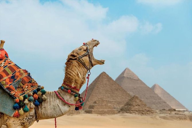 Private ViP all-inclusive Giza Pyramids,Sphinx,Inside Pyramid - What the private guide adds