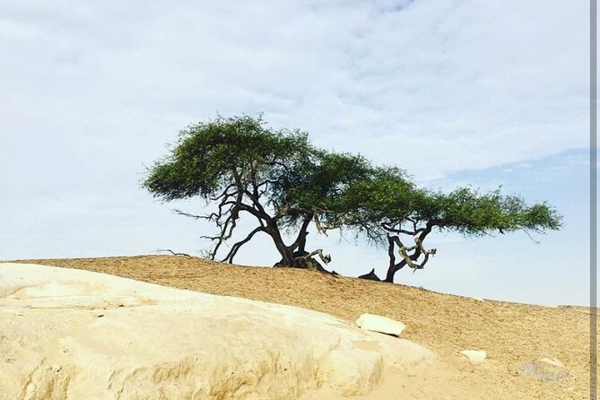 Private White Desert tour one Full day from Cairo - Bahariya Oasis and its hot mineral springs