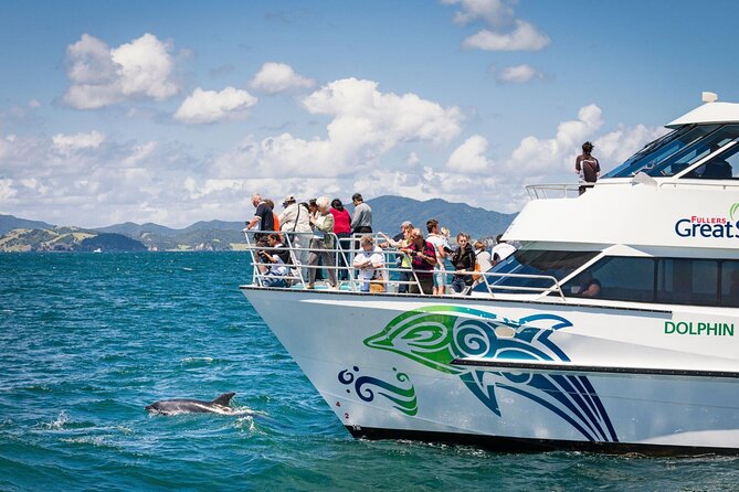 Private Yacht Cruise to Dolphin House with Lunch : Hurghada - Setting out from Hurghada at 8:00 am