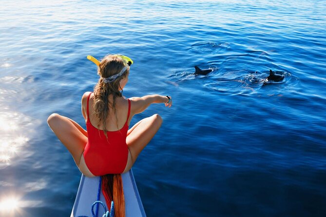 Private Yacht Cruise to Dolphin House with Lunch : Hurghada - Two stops over coral and fish