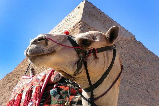 Pyramids of Giza, the Sphinx, the Egyptian Museum. - Sam’s guiding style matters