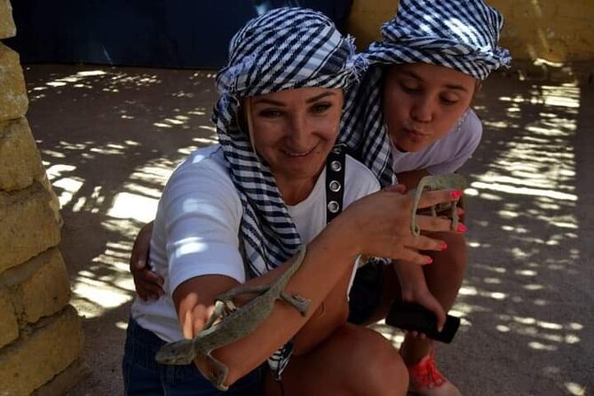 Quad 3 hours VIP safari adventure Hurghada - Safety and the small details that matter