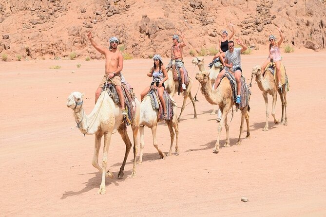Quad Biking Safari-Camel Ride-Bedouin Dinner and Shows From Sharm - What this Sharm desert evening actually includes