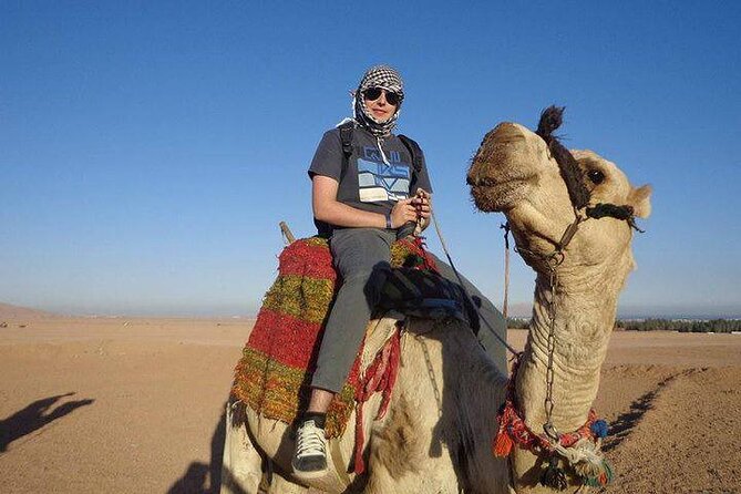 Quad Biking Safari-Camel Ride-Bedouin Dinner and Shows From Sharm - How the timing affects the value