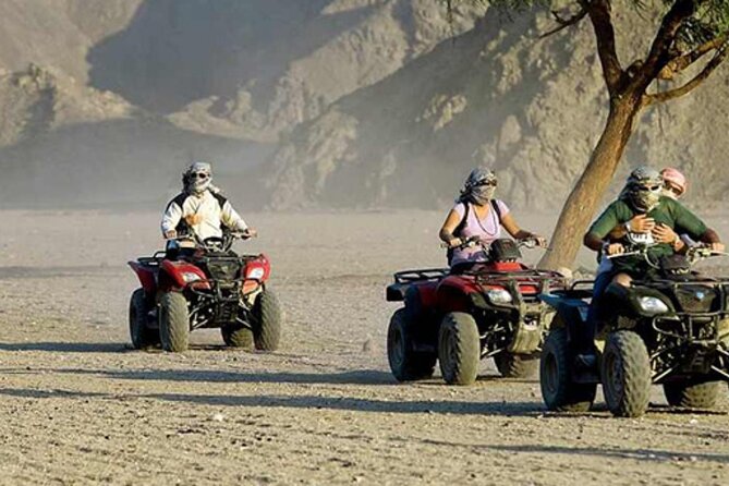 Quad with Camel Ride & Bedouin village From Marsa Alam - Quick points before you book