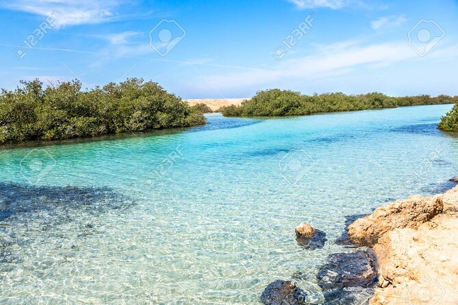 Ras Mohamed and White Island Snorkeling Trip and One Stop Diving-Sharm El Shiekh - Key points to know before booking