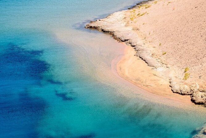 Ras Mohamed and White Island Snorkeling Trip and One Stop Diving-Sharm El Shiekh - The 8 am pickup and port transfer
