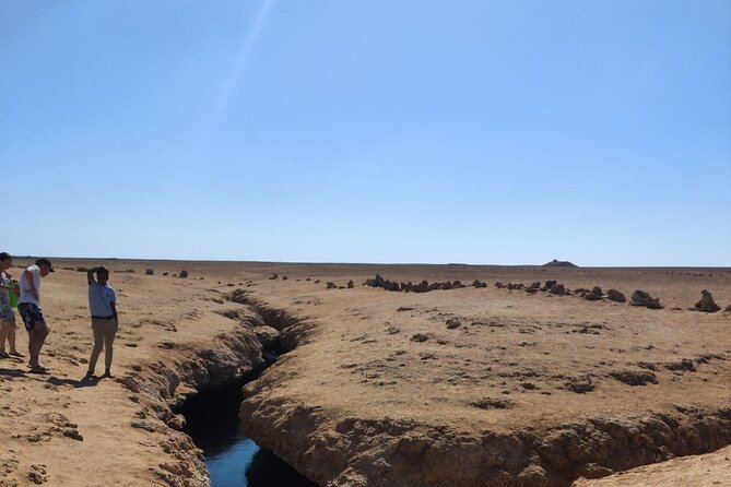 Ras Mohamed National Park Half Day Tour by Bus In Sharm El Sheikh - Coral Gardens and the shore snorkeling stop