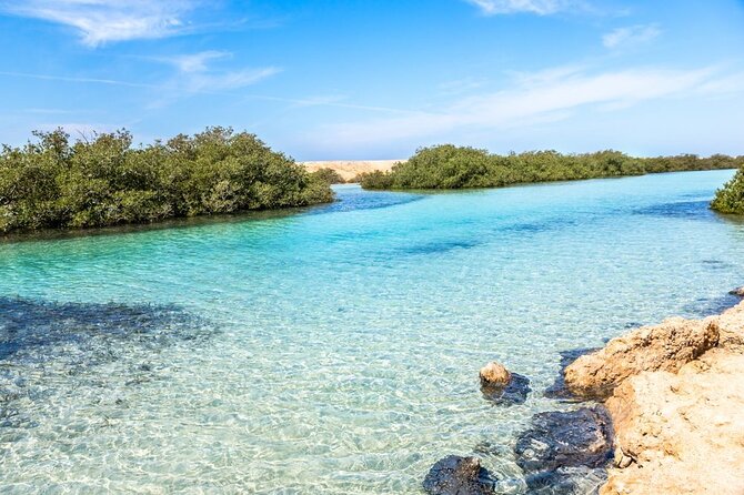 Ras Mohamed National Park Half Day Tour by Bus In Sharm El Sheikh - How good is the guiding?