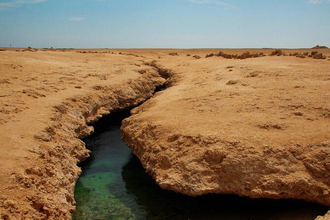 Ras Mohamed National Park Half Day Tour by Bus In Sharm El Sheikh - The real value of a $20.75 half-day