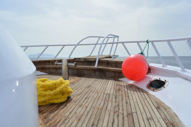 Ras Mohamed & White Island Experience Sharm El Sheikh - The Crew and Guidance Make a Difference