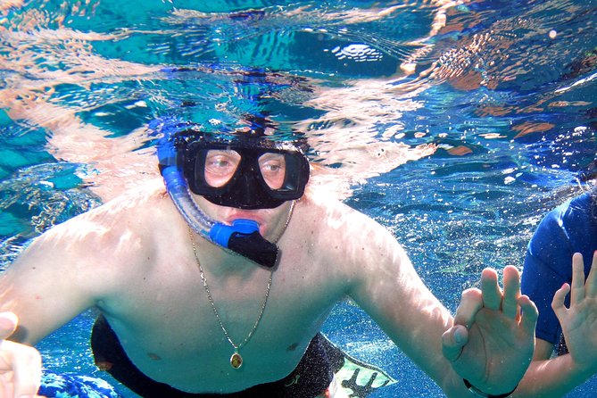 Ras Mohamed & White Island Experience Sharm El Sheikh - Transfers and the Eight-Hour Schedule