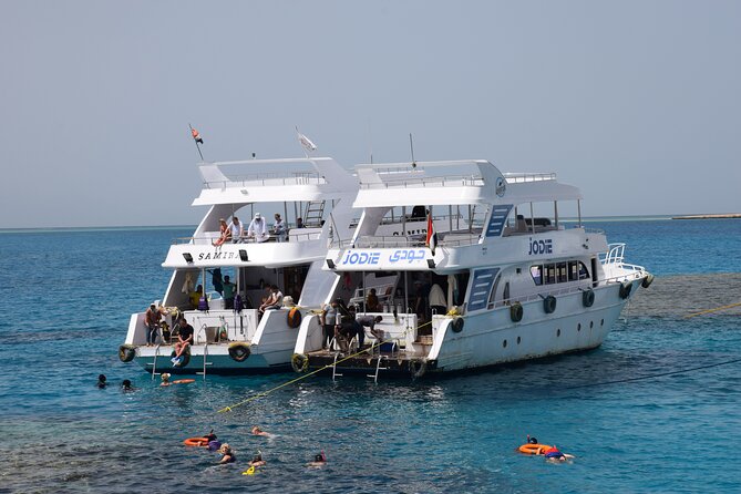 Ras Mohamed & White Island from Sharm El Sheikh by boat - Why Ras Mohammed is worth a full day at sea