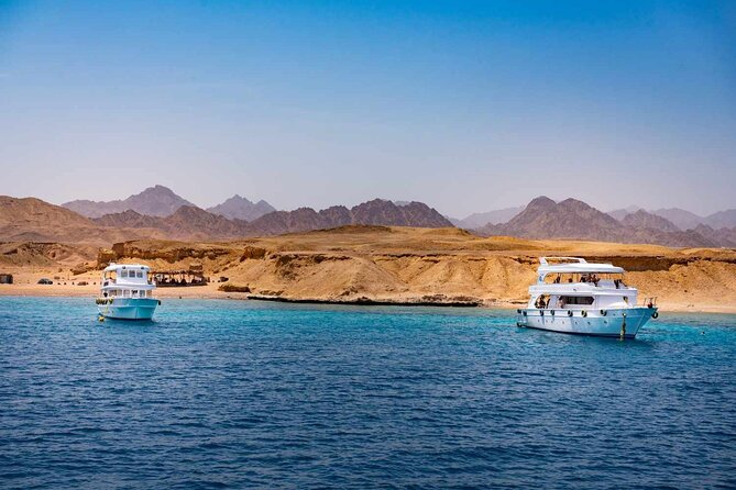 Ras Mohammed and White Island Snorkeling Sea Trip with Lunch - Key points to know before you book