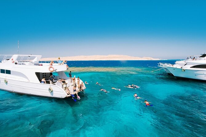 Ras Mohammed and White Island Snorkeling Sea Trip with Lunch - The real price and what is included