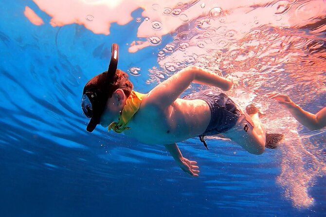 Ras Mohammed and White Island Snorkeling Sea Trip with Lunch - Who should book this Ras Mohammed boat trip?