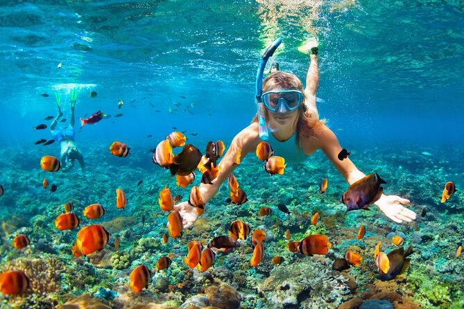 Ras Mohammed national park by bus + Snorkeling - Why Ras Mohammed works so well as a half-day trip