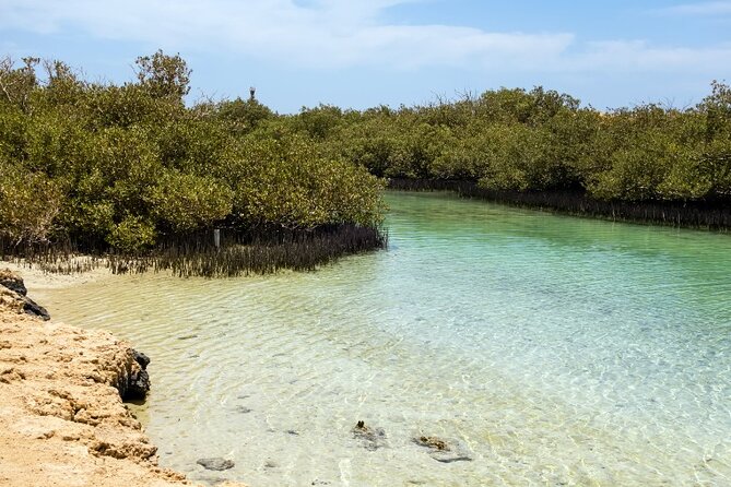 Ras Mohammed national park by bus + Snorkeling - What the $31.36 price really covers