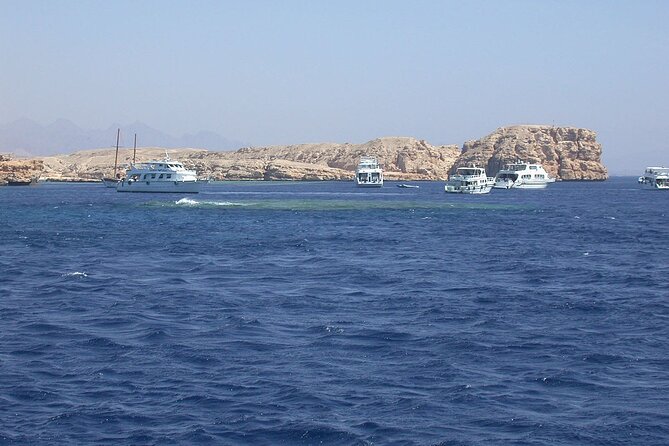 Ras Muhammed & White Island Snorkeling Sea Trip - Sharm El Sheikh - Ras Mohammed and White Island in one day