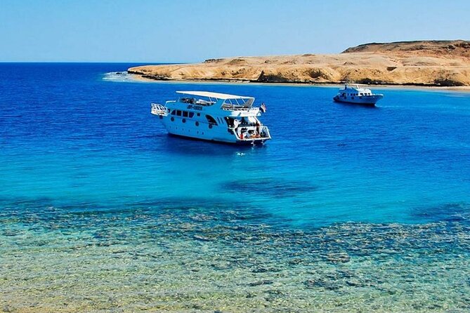 Ras Muhammed & White Island Snorkeling Sea Trip - Sharm El Sheikh - White Island is more than a second swim