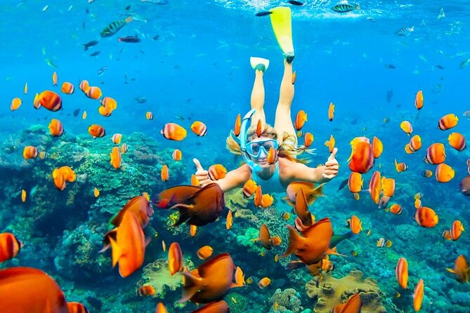 Ras Muhammed & White Island Snorkeling Sea Trip - Sharm El Sheikh - Practical planning for your morning