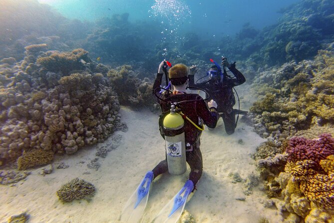 Red Sea Diving Trip from Hurghada: Beginner to Advanced Divers - Lunch, drinks, and the practical rhythm of the day