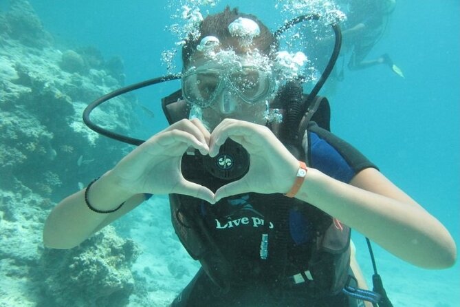 Red Sea Diving Trip from Hurghada: Beginner to Advanced Divers - First stop: getting comfortable below the surface