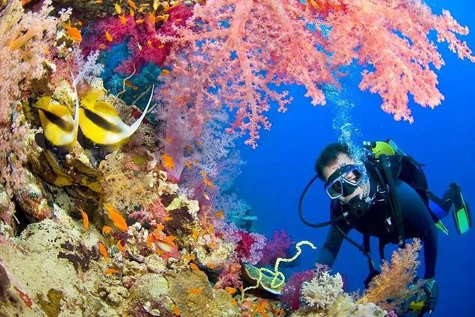 Red Sea Snorkeling from Hurghada - The first cruise across the Red Sea