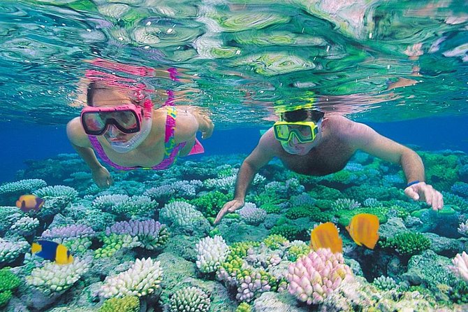 Red Sea Snorkeling from Hurghada - What to expect at the three snorkeling sites