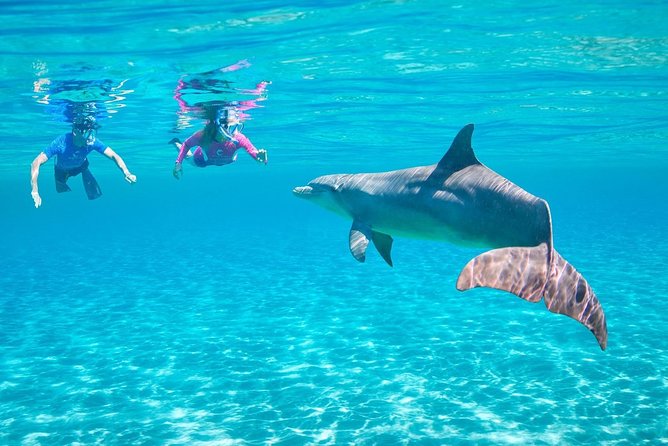 ROYAL Dolphin House & Water Sports Snorkeling Sea Trip - Hurghada - Key points before you book