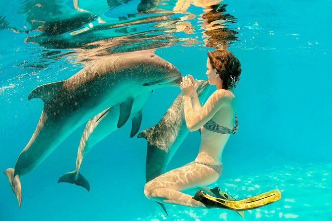 ROYAL Dolphin House & Water Sports Snorkeling Sea Trip - Hurghada - The boat ride across the Red Sea