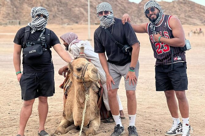 Safari 5 in 1 Quads, Camels, Show, Dinner & Star Gazing in Sharm El Sheikh - Quad biking across Sinai tracks