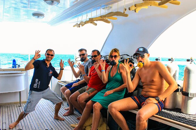 Safe Try dive-Personal instructor, 1:1 experience, Top boat - The afternoon reef and snorkeling choice