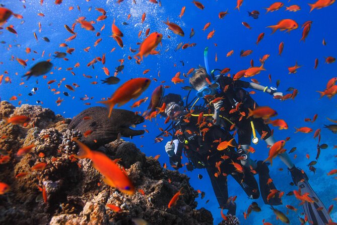 Safe Try dive-Personal instructor, 1:1 experience, Top boat - What the $76.77 price really covers
