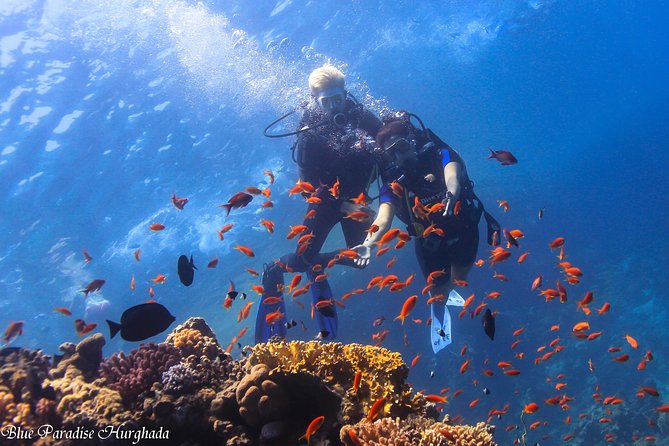 Safe Try dive-Personal instructor, 1:1 experience, Top boat - Setting out on the 27-meter boat