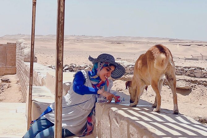 Saqqara, Dahshur - 10%to stray dogs and cats - Saqqara’s Step Pyramid and tombs