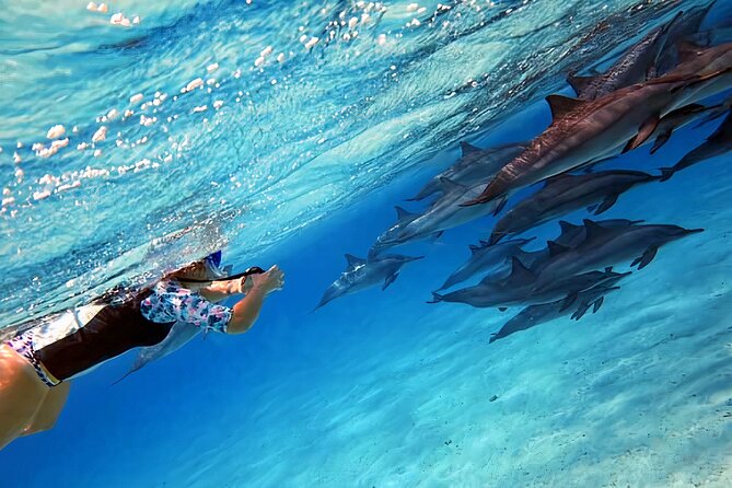 Sataya Dolphin House Snorkel Trip - Marsa Alam - Lunch on board, with the reef still around you