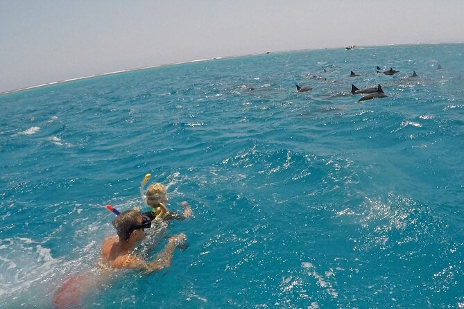 Sataya Dolphin House Snorkel Trip - Marsa Alam - What the $92 price really covers