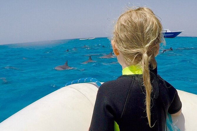 Sataya Dolphin House Snorkel Trip - Marsa Alam - The early pickup and road to the harbor