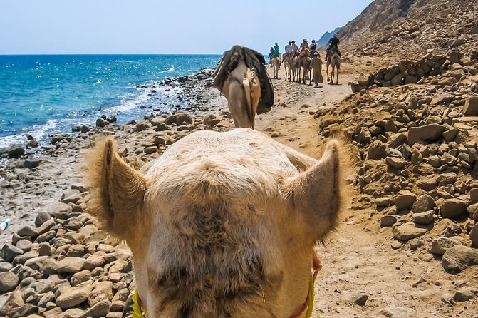 Sharm El Sheikh: Colored Canyon Jeep Tour with Blue Hole & Dahab - A desert-to-sea day from Sharm el Sheikh