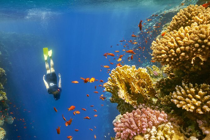 Sharm El Sheikh: Colored Canyon Jeep Tour with Blue Hole & Dahab - Guides can make or break the outing