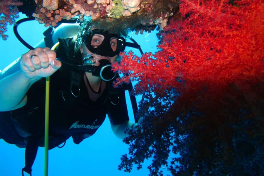 Sharm El Sheikh: Day sail to White island and Ras Mohamed - Is $31 good value?