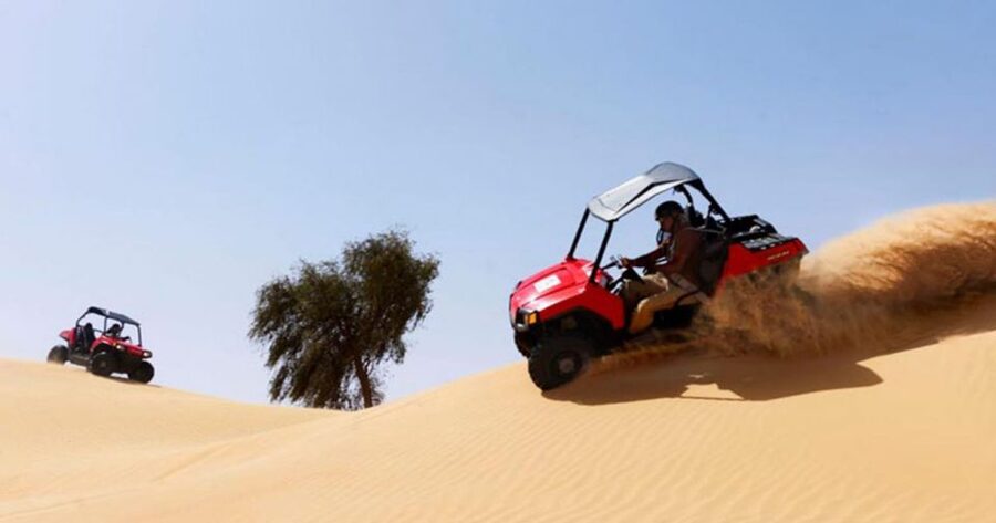 Sharm El-Sheikh: Desert Buggy Safari Adventure - Is $29 good value?