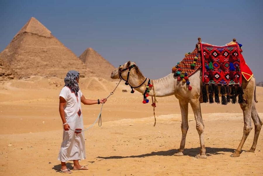Sharm El-Sheikh: Full-Day Tour of Cairo and Pyramids by Bus - Lunch, papyrus, oils, and the sales stops