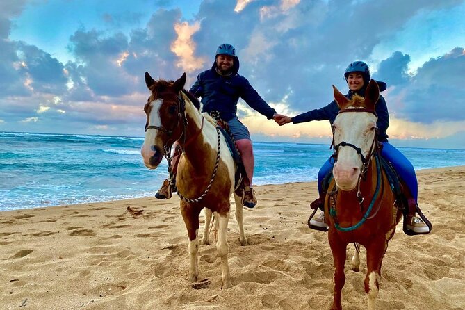 Sharm El Sheikh Horseback Riding with Pickup and Drop-off - Key points to know before you book